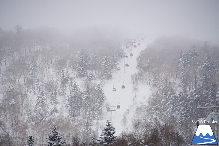 札幌国際スキー場 Welcome back POWDER SNOW !! ～パウダースノー復活～